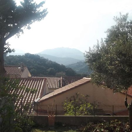 Banyuls-Sur-Mer : T3 Avec Jardin, Parking, Proche Plage Et Centre-Ville - Fr-1-309-35 Exteriér fotografie