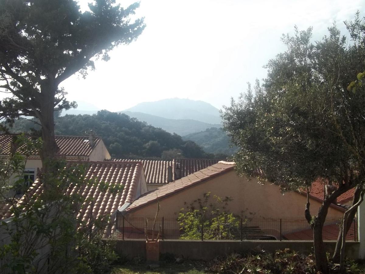 Banyuls-Sur-Mer : T3 Avec Jardin, Parking, Proche Plage Et Centre-Ville - Fr-1-309-35 Exteriér fotografie