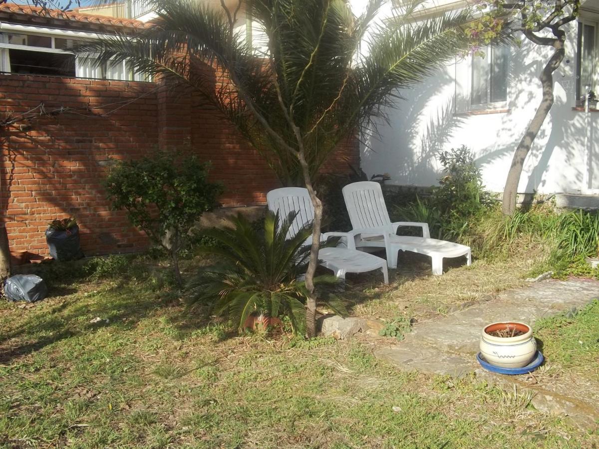 Banyuls-Sur-Mer : T3 Avec Jardin, Parking, Proche Plage Et Centre-Ville - Fr-1-309-35 Exteriér fotografie